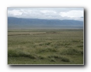 Click to enlarge this image